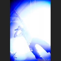 Finsterforst_2016_14_IMG_5206.jpg