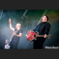 Mr_Irish_Bastard_01_MS5_1709.jpg