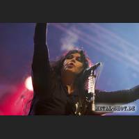 wasp_01_IMG_8960.jpg
