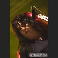wasp_02_IMG_8966.jpg