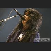 wasp_04_IMG_8989.jpg