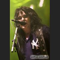 wasp_07_IMG_9021.jpg