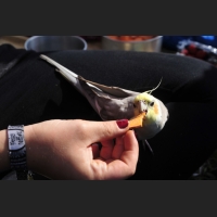 135c4d2bc0af8efb49dd87e591fce639.JPG