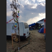 13d5efc2accc97e7bc6851fe5710ae2a.jpg