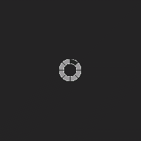 loader.gif